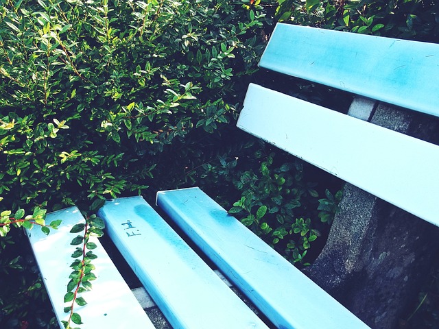 新巴蒂若真 新巴蒂若真