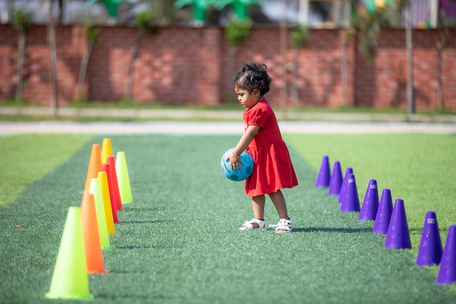 仅擅长组织 仅擅长组织