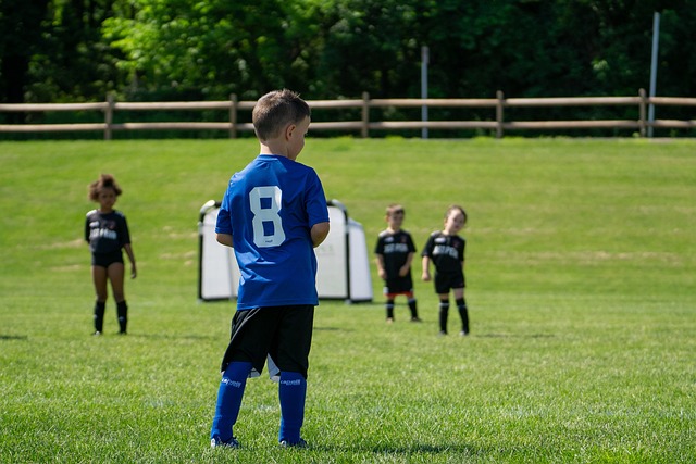 自己赢得了 自己赢得了