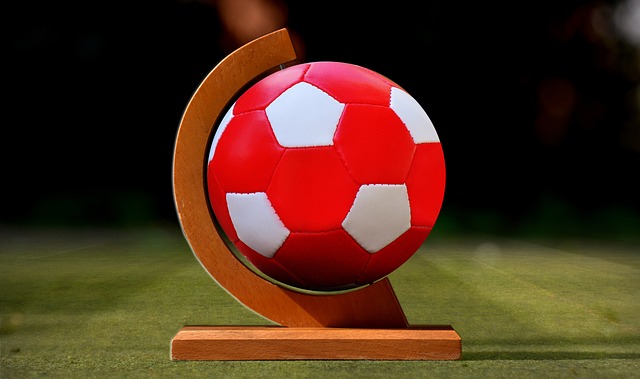 提高其在全 提高其在全