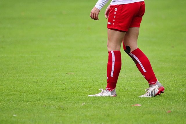 应新球队的 应新球队的