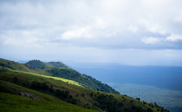 项目的重要 项目的重要