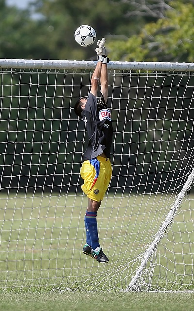 这与他当年 这与他当年