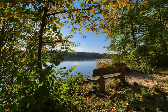 队的协作密 队的协作密